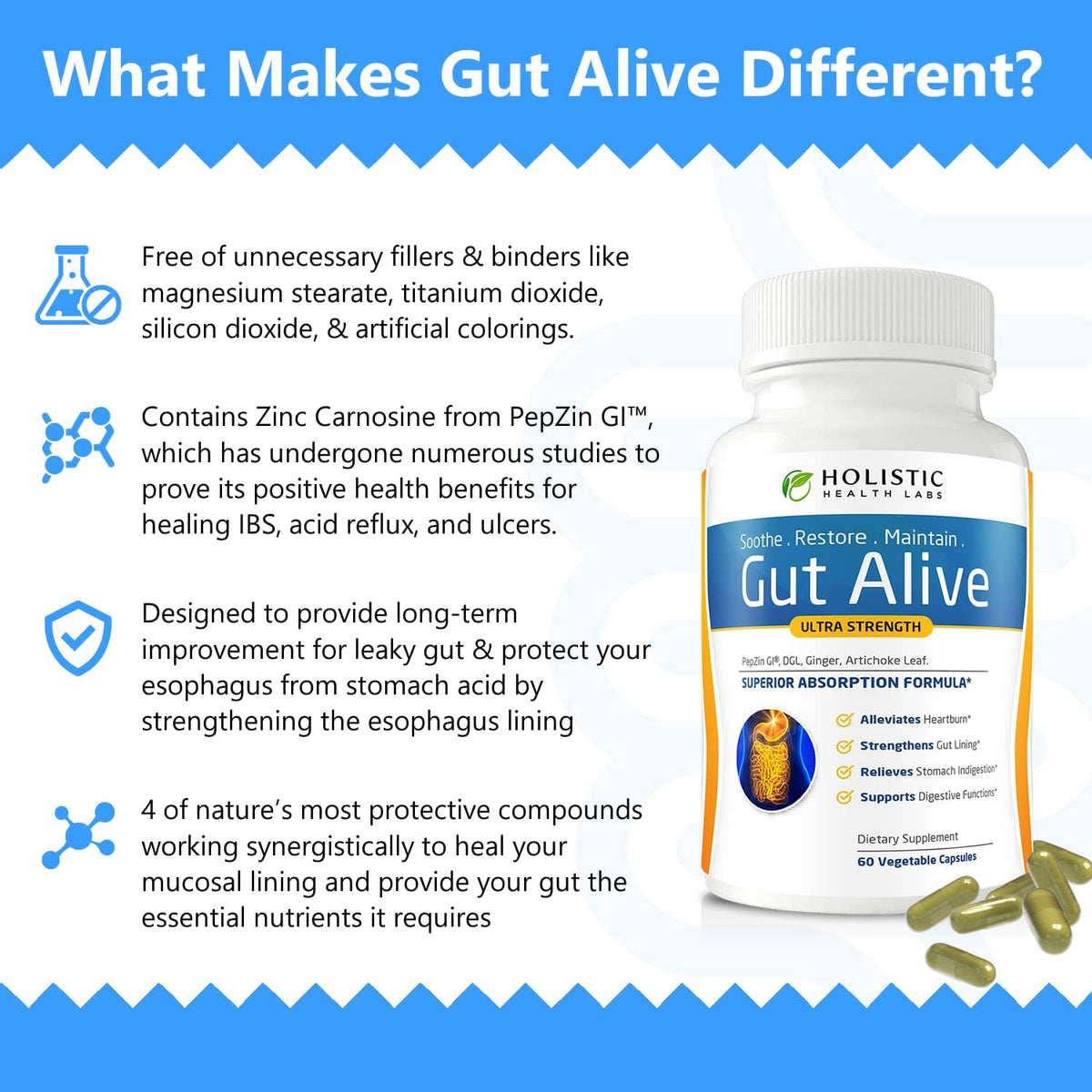 Gut Health Support Digestive Wellness Supplement Capsules 60 Count