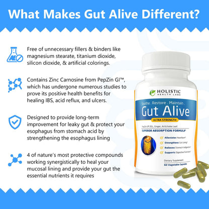 Gut Health Support Digestive Wellness Supplement Capsules 60 Count