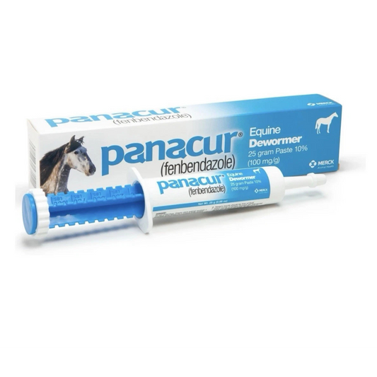 Panacur Equine Paste Horse Wormer